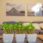 דירה Primavera E Piscina *